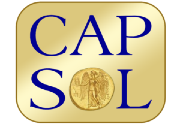 Case study: IT Support Case Study - CapSol Finance